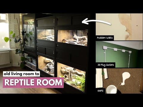 I Spent 30 Days Turning This Into My Dream Reptile Room