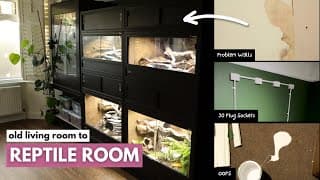 I Spent 30 Days Turning This Into My Dream Reptile Room