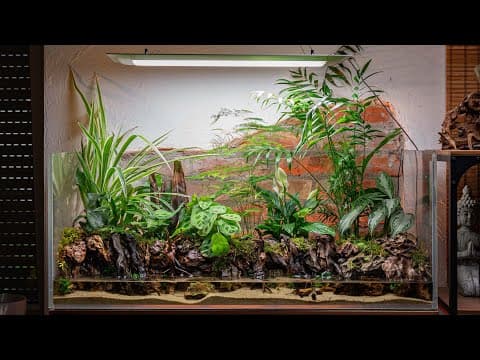 Building A Giant Jungle Paludarium For Vampire Crabs