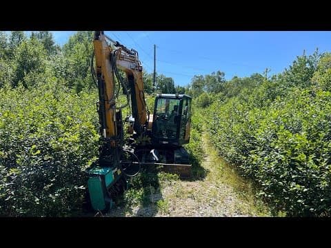 I Knew There Was A Road There!