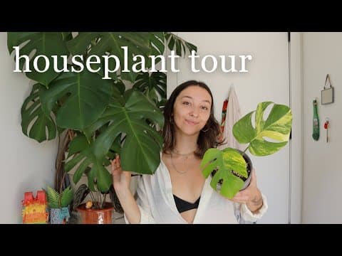 Houseplant Tour 2024 | Walkthrough Of Every Single Plant In My Collection  🌿
