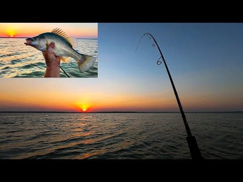 Fishing For Yellowbelly And Redfin At Waranga Basin