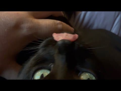 And Now 3 Minutes Or So, With Jojo