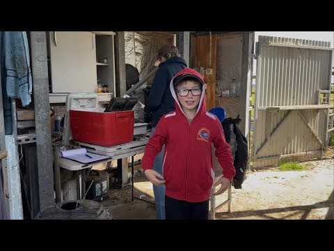 Lewis The Future Cow Vet