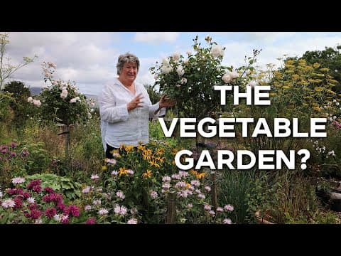 Abundant Flowers Tour In Vegetable Garden