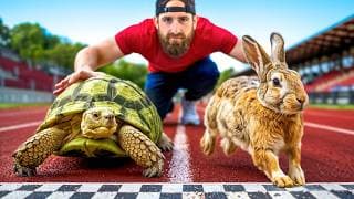 Tortoise Vs. Hare - Who Wins?