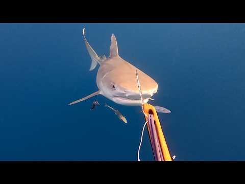 You Can't Always Be The Hero | Big Gun Little Fish