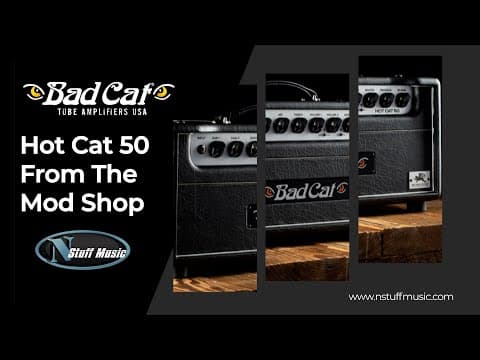Bad Cat Mod Shop Edition Hot Cat 50