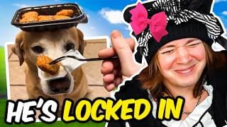 If I Laugh, The Video Ends #269