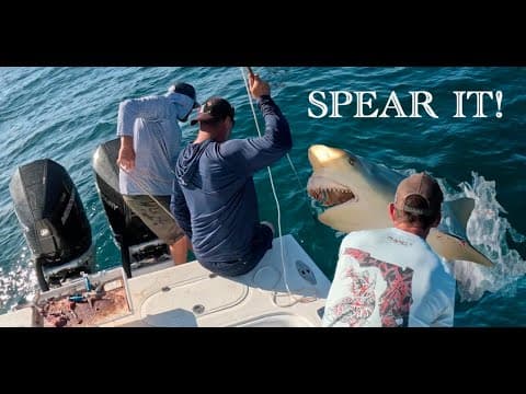 Huge Bull Shark!  Spear Hunter!