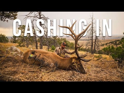 I Can't Believe I Got A Second Chance On This Bull! || Big Elk With A Bow