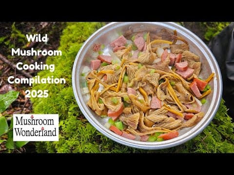 Wild Mushroom Cooking Compilation 2025