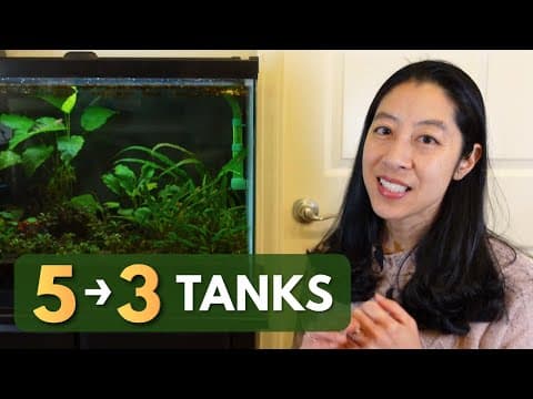 2025 Aquarium Recap: Downsizing Tanks, Job Loss & New Fish!