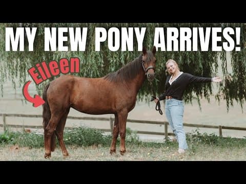 New Pony Arrives From Ireland!