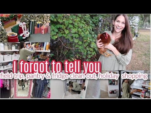 Oh I Forgot To Tell You! Pantry & Fridge Clean Out, Holiday Shopping, Weekly Reset, Ditl Stuff!