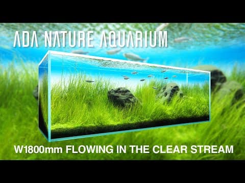 [adaview] Flowing In The Clear Stream／清流になびく  - W1800mm Nature Aquarium Layout-【en/jp Sub.】