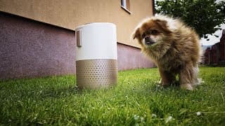 The Best Air Purifier For Pet Owners? | Petsnowy Pet Air Purifier Unboxing I Review