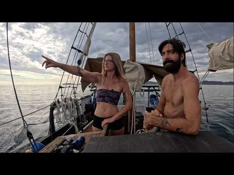 Salt & Tar: Ep.323- Attitude Of The Upper Gulf