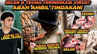 Gawat! Teona Selen Kena Penyakit Seperti Jinora Juga?! Begini Kondisinya !
