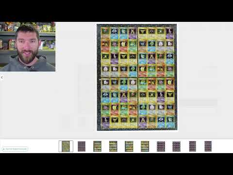 Goldin Auction Everything Pokemon