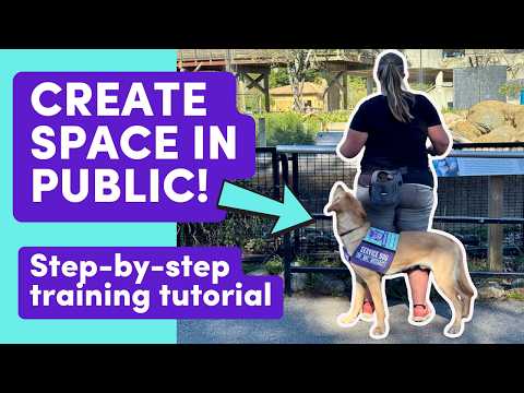 Psychiatric Service Dog Task Training: Blocking (create Space/barrier In Public)