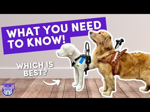Understanding Service Dog Mobility Harnesses: Safety, Fit, And Function