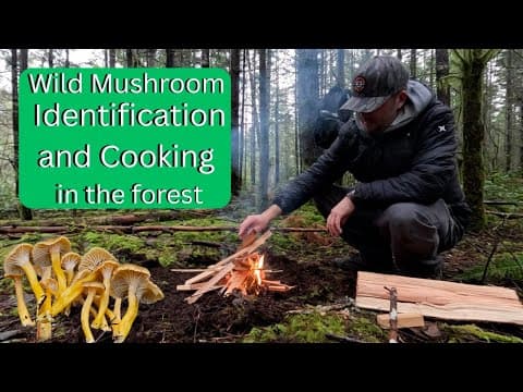 Winter Mushroom Foraging And Mushroom And Steak Sandwich In The Woods