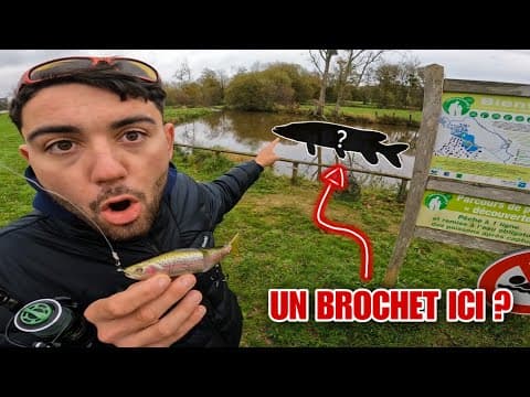 La Mare De Ce Petit Village Breton Cache-t-elle Des Surprises ?