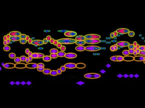 Bach, Opening Chorus "freue Dich, Erlöste Schar" From Canata 30 ©