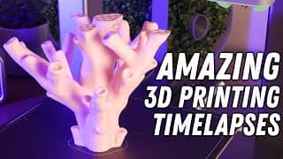 6 Amazing 3d Printing Timelapses - Made Using The Ankermake M5c 3d Printer