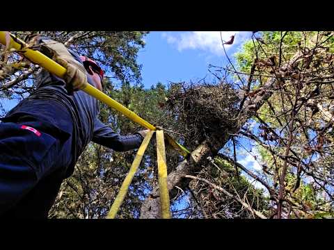 Lineman Working Alone