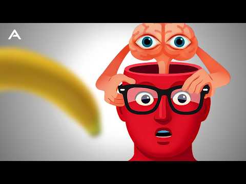 How Your Brain Shapes Reality