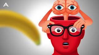 How Your Brain Shapes Reality