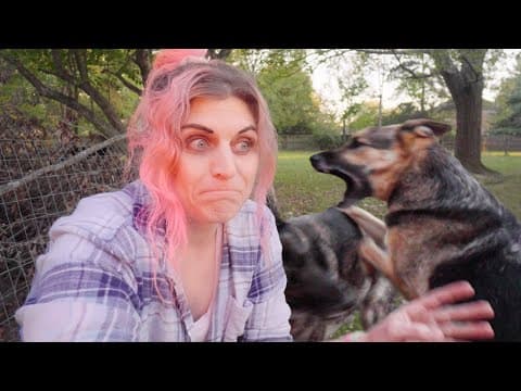 Update On Everything Vlog | Plus Mail Time