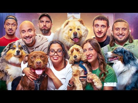 Les Rencontrent De Chiens #2 Feat Max Biaggi, Styleto, Kyan, Melha Et Tony