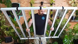 Medic Grow Fold 800 Grow Light Unbox, Review And Par Test