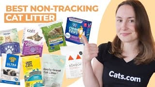 The Best Non-tracking Cat Litter (we Tested Them All!)