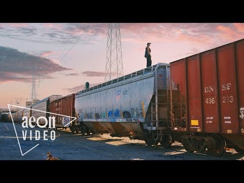 Life On The Streets Of Los Angeles | Wild Creatures