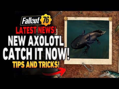 New Axolotl Just Released + What Is Happening In Fallout 76 This Week!