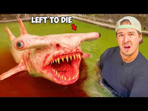 Buying An Abandoned Shark And Transforming Its Home!