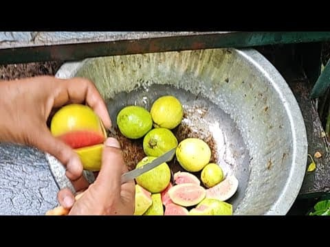 Peepal Farm Ka Update!