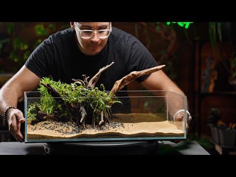 Simple Aquarium With Emergent Plants, Shrimp, And Nano Fish - Quick, Strong Gluing Method.