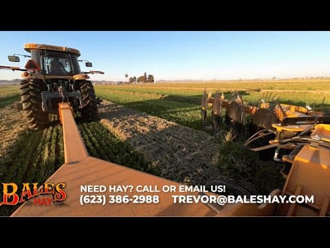 Testing Out The New Rake