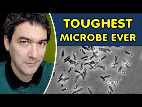 Why Some Microbes Are Practically Immortal