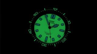 Another Beauty From Thailand - Wise Ad8 Full Lume Limited Edition