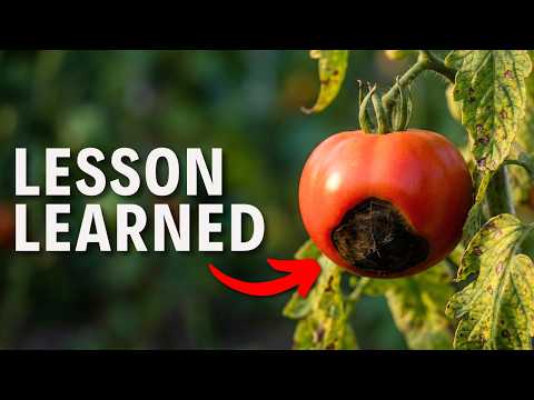 10 Gardening Mistakes I Won't Repeat in 2026