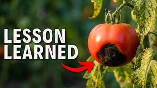 10 Gardening Mistakes I Won't Repeat in 2026