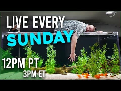 Aquarium Chat While You Clean - Sunday School 3pm Est