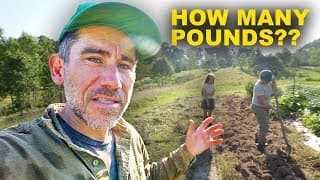 Once A Year Garden Harvest To Feed Our Family