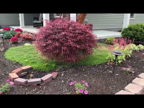 My Landscape Design Skills Suck!